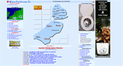 Desktop Screenshot of flevoland.to